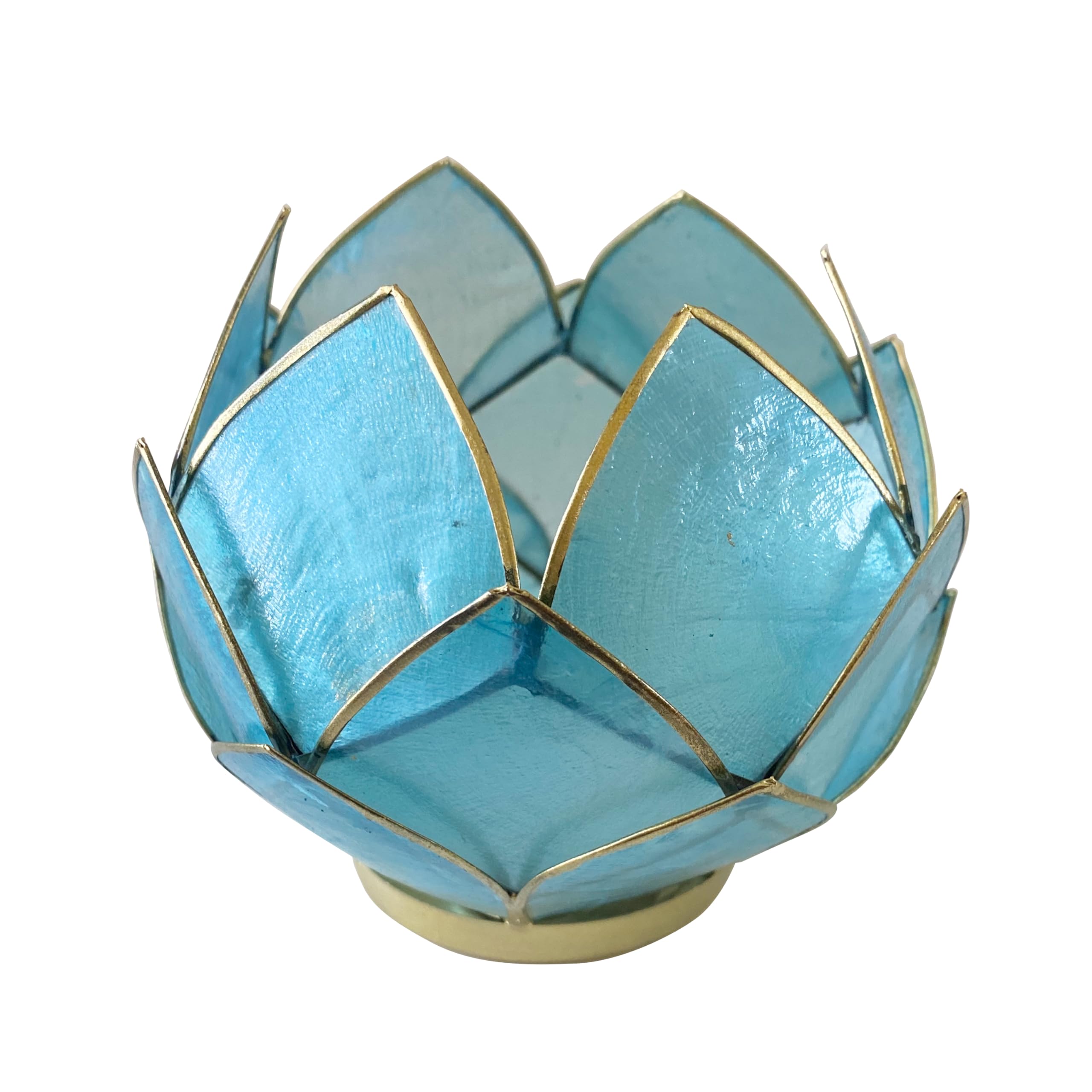 Amazon.com: Blooming Lotus Capiz Shell Tealight Candle Holder