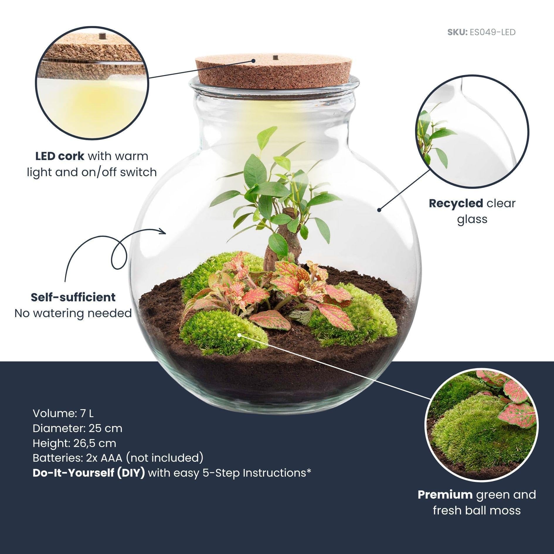 Jardinière en bouteille - Kit de bricolage - Bonsaï - Terrarium Ø 25 cm x H 26,5 cm - Terrarium à faire soi-même - Mini écosystème autonome - Pour la maison et le bureau