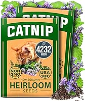 Vista 94 de HOME GROWN Semillas de eneldo sin OMG para plantar 1,014 ramos de semillas de eneldo y semillas de hierbas tradicionales para plantar al aire libre