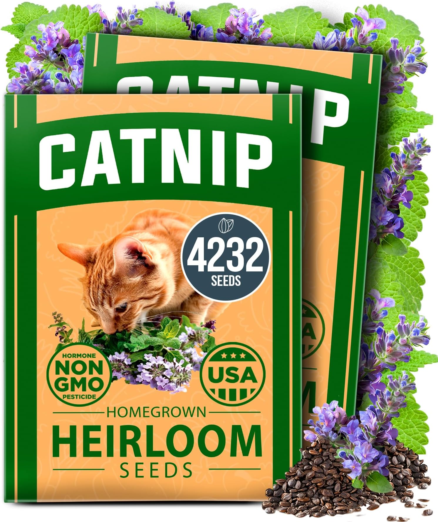 HOME GROWN Catnip Seeds (2 Pack) Heirloom Herb 4232 Seeds - Indoor or Outdoor Seed - High-Germination Nip - Safe Plants (Nepeta cataria)