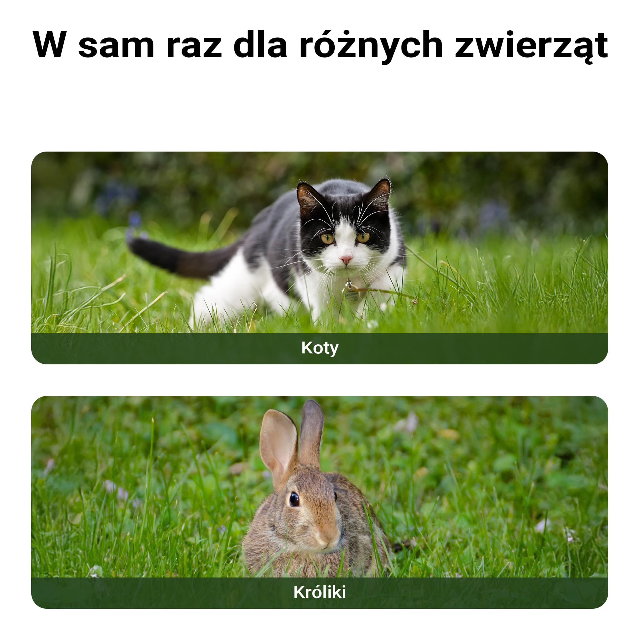 Drewniany, odporny na warunki atmosferyczne domek dla kota, 50 x 50 x 54 cm, do użytku wewnątrz i na zewnątrz, z drzwiami ewakuacyjnymi