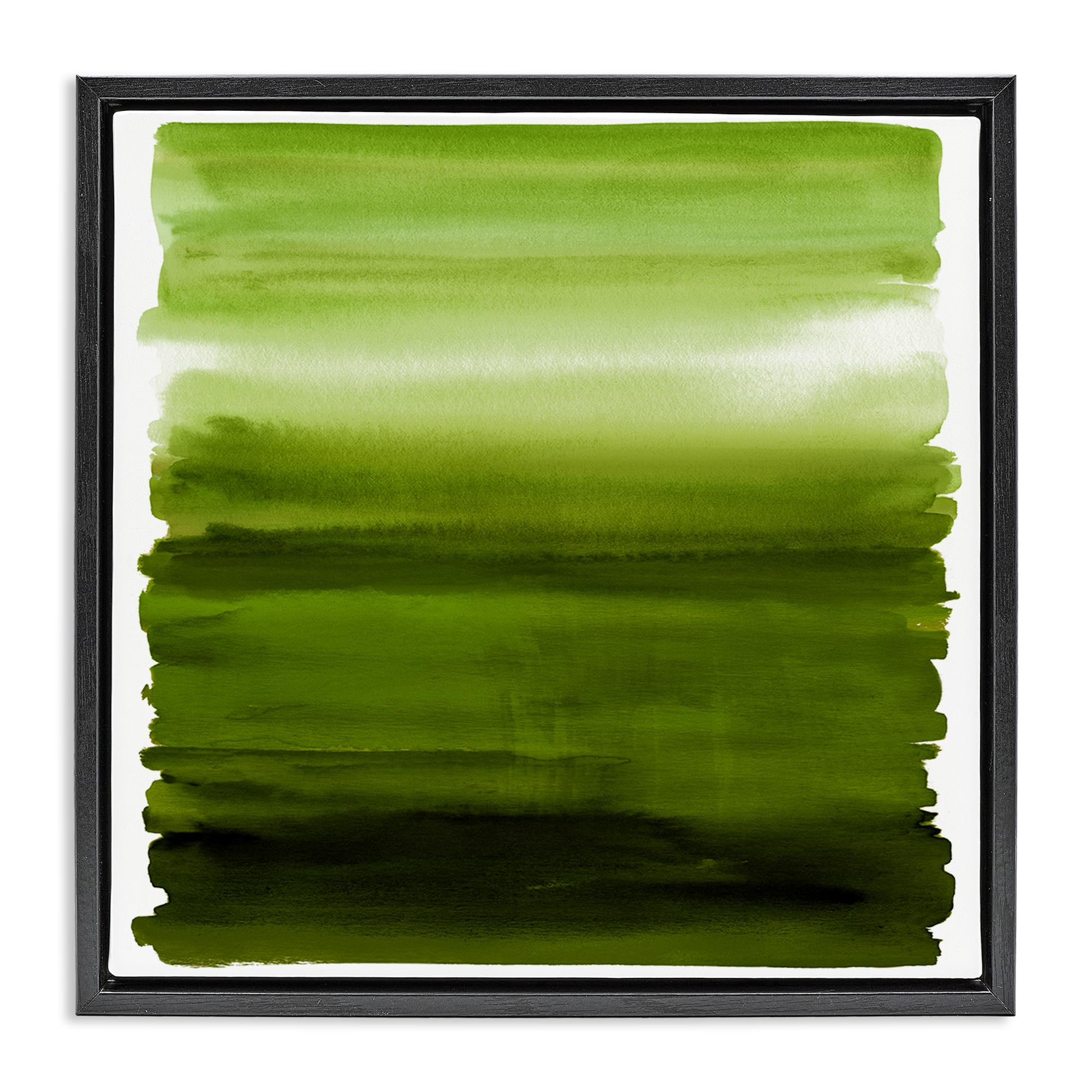 Stupell Industries Jet Black (Matte) 'Earthy Green Ombre'| Floating Frame Canvas Art