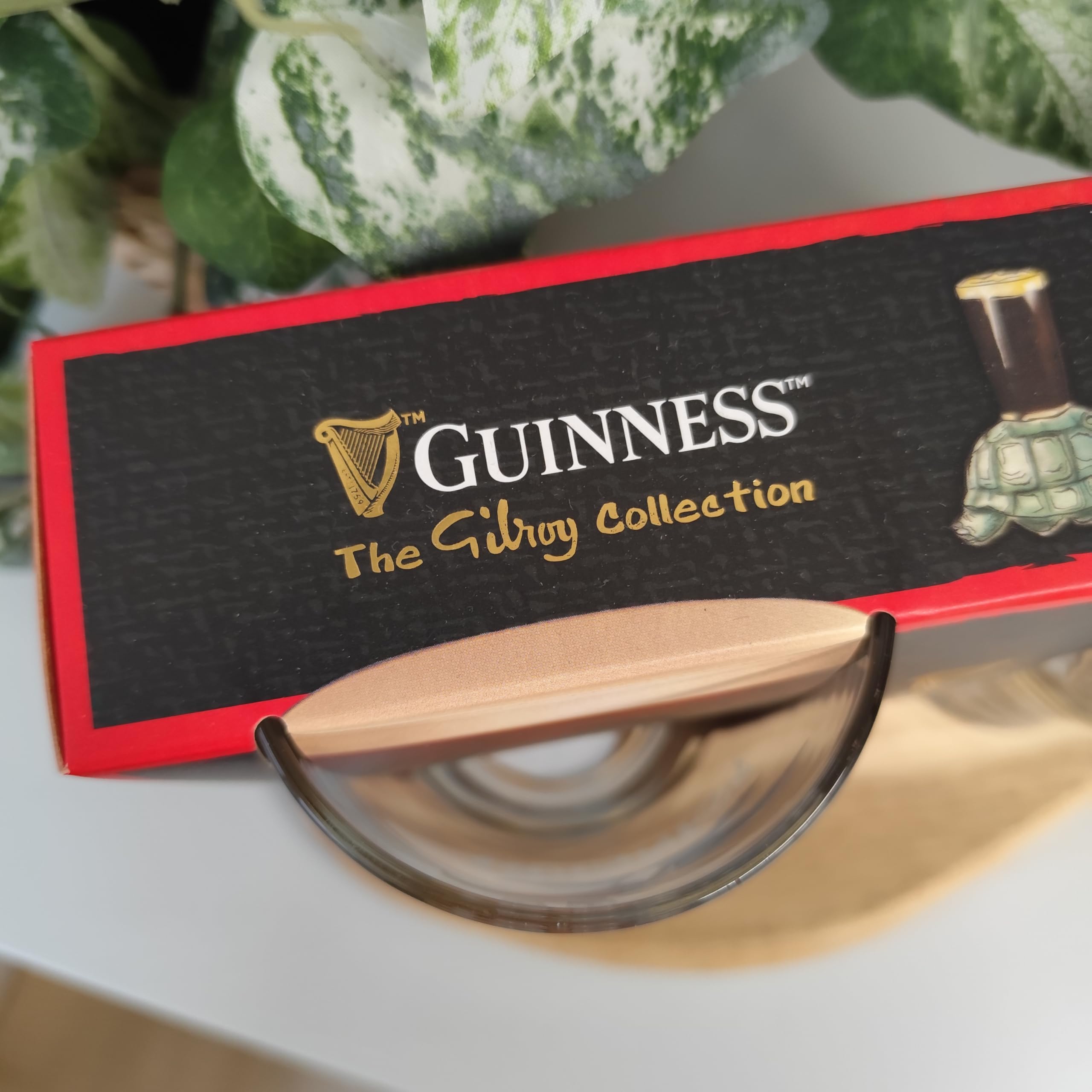 Guinness Lot de 2 verres à bière Motif toucan volant
