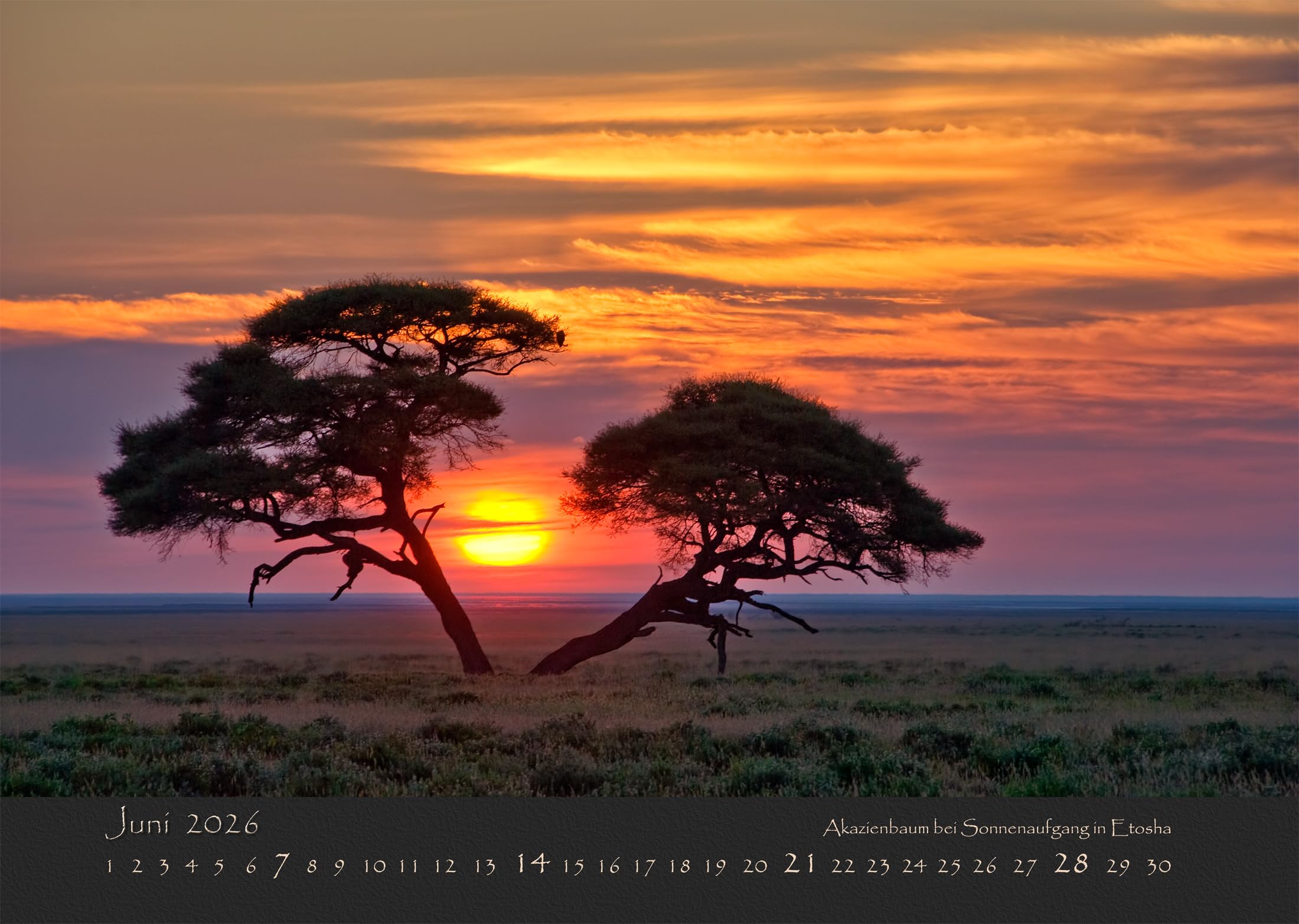 NAMIBIAS WILDNIS 2026: Atemberaubende Landschaften & Wildtiere | A2 Namibia Wandkalender mit traumhaften Naturfotografien | Die Magie Afrikas für Ihr Zuhause und als perfektes Geschenk