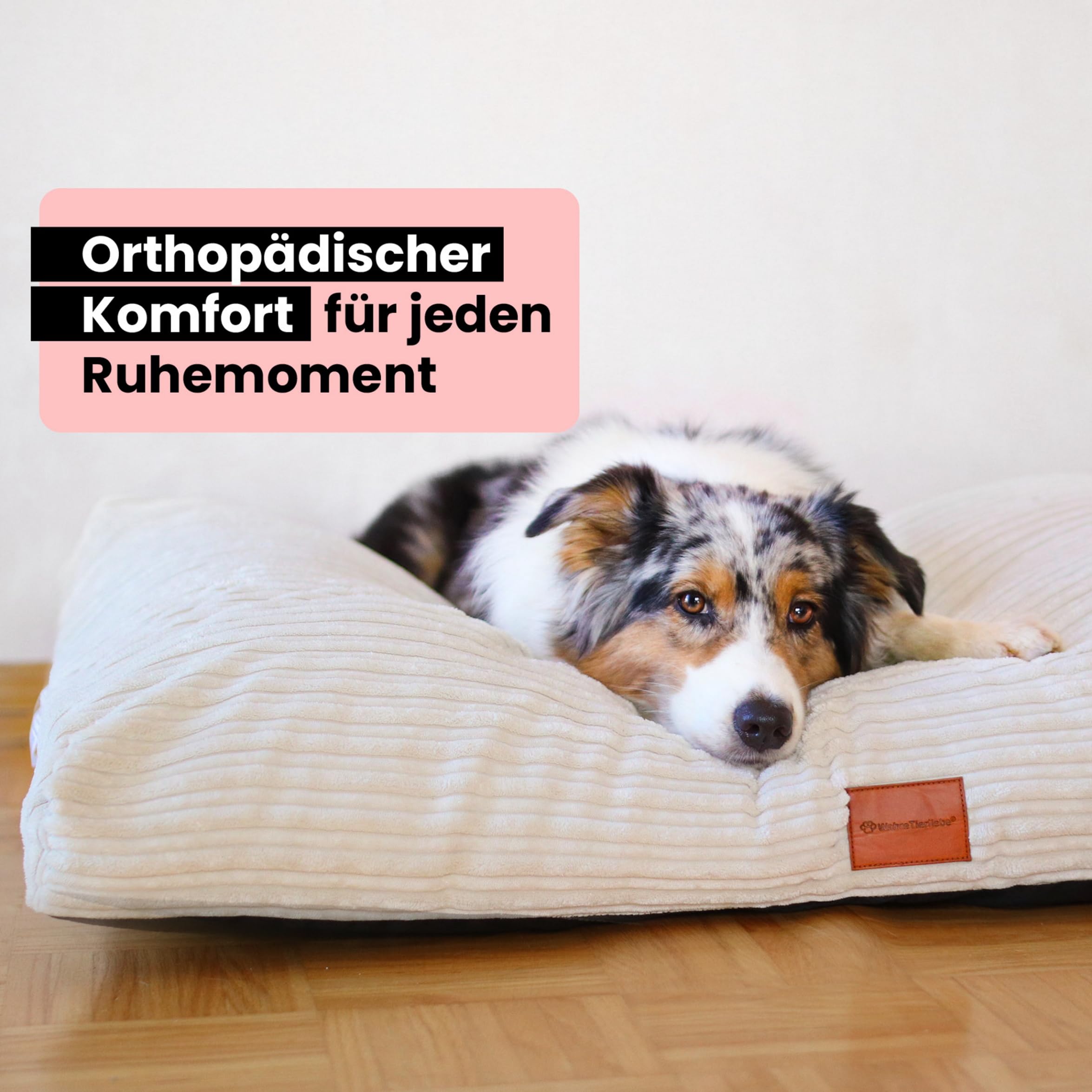 WahreTierliebe® Cozy Hundebett, Premium Hundekissen, Orthopädischer Komfort, Waschbar & Pflegeleicht, Strapazierfähiger Bezug, Perfekt für Zuhause und unterwegs
