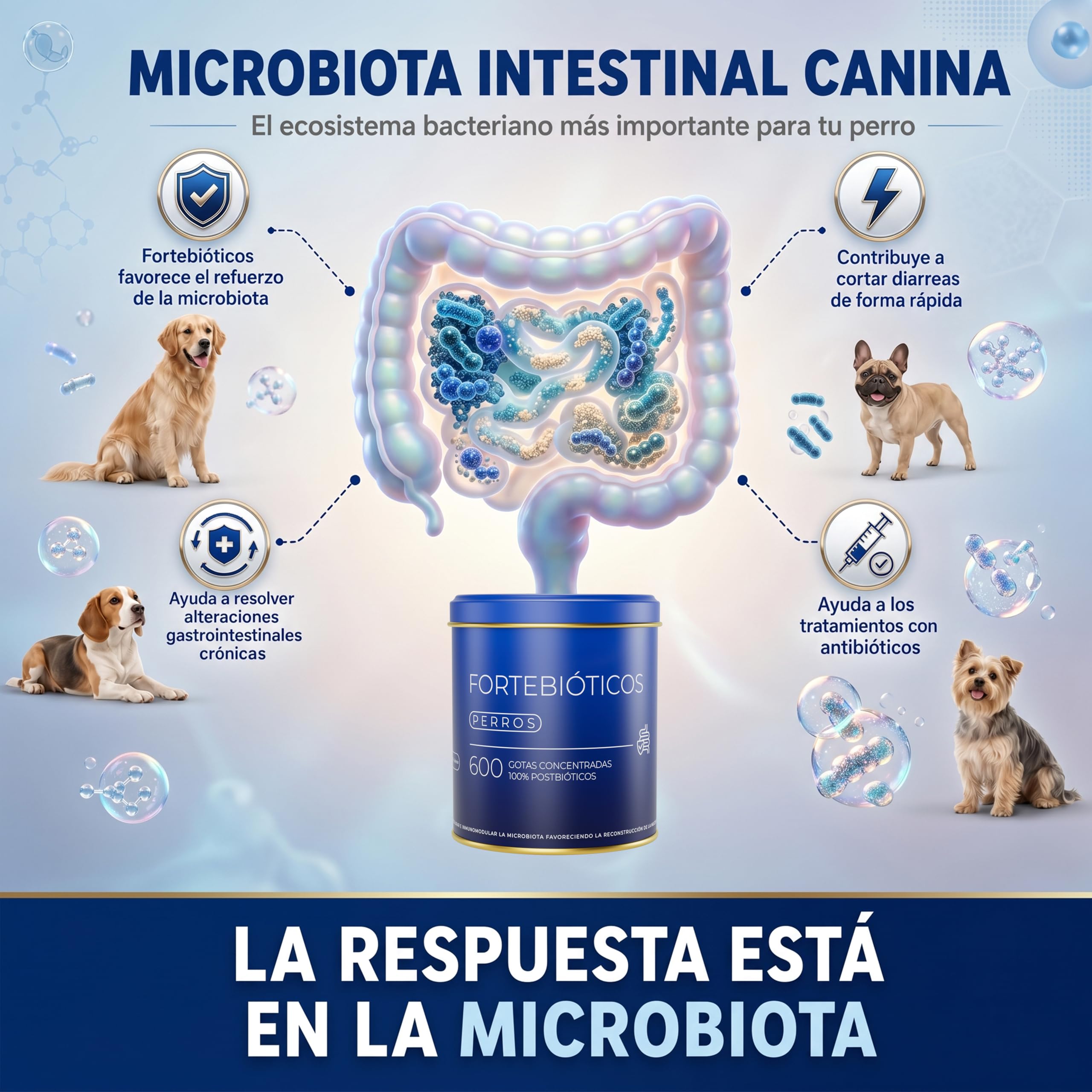 Fortebioticos Perros 600 Gotas 30 ml – Probióticos Perro Tipo Probiotico Perros en Gotas - Probioticos Perros Diarrea - Probiotics Perros - Probióticos Perros - Probiotics for Dogs