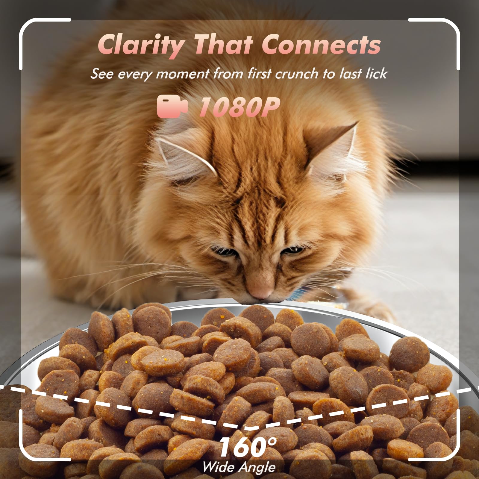 Alimentatore automatico per gatti con fotocamera, dispenser di cibo per gatti 5G WiFi a tempo, video HD 1080p con visione notturna, 1-15 pasti, 1-99 porzioni, audio a 2 vie, mantiene fresco il cibo
