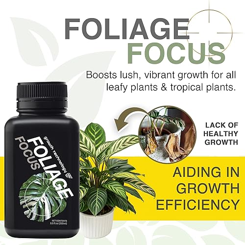 Miniatura 3 de Growth Technology GT Foliage Focus - Liquid Indoor Plant Food for Houseplants, Tropical Plants, Aroids, Ferns and Palms - Concentrated Formula for