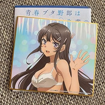 青春ブタ野郎はバニーガール先輩の夢を見ない フォトブック 桜島麻衣 青ブタ 715cMMmuilL._UF350,350_QL50_.jpg