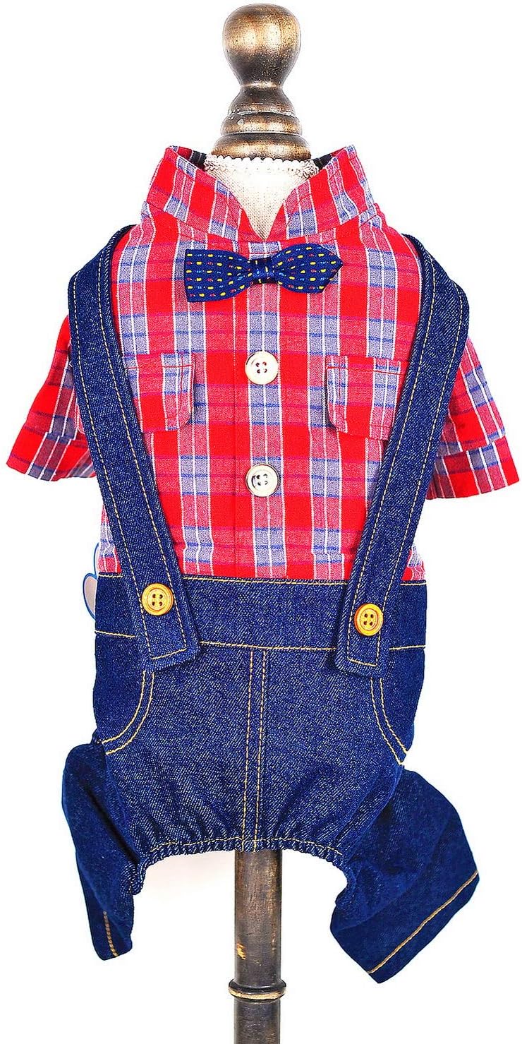 Ropa