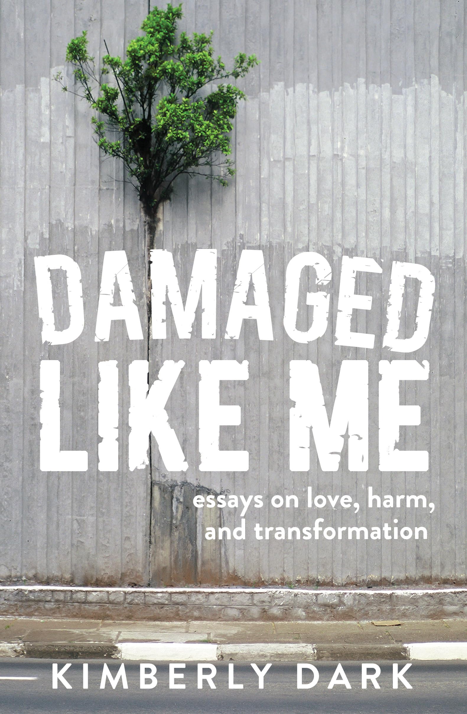 Buy Damaged Like Me — BookShops.in