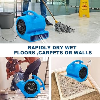 hammo エレファン Amazon.com: MOUNTO 1/4hp 1000CFM 2 Speed Air Mover Carpet