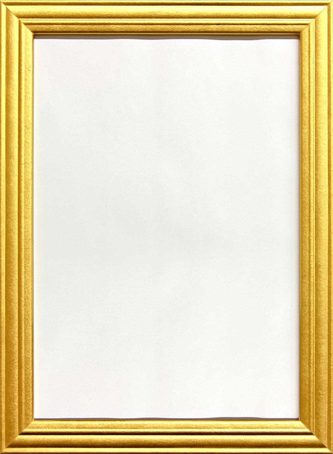 Framesplus Gold Traditional Wooden Style Picture Photo Frame Home Office Work Gift Present 80X60cm