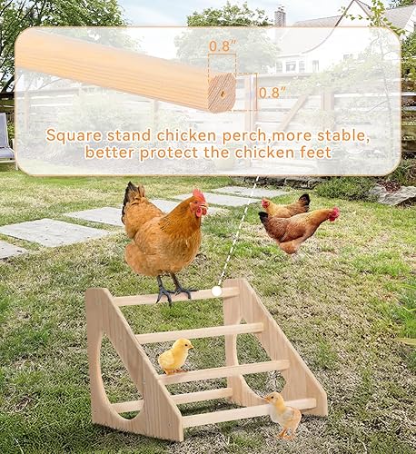 Miniatura 3 de PETSFIT Perca para pollitos que evita la rotación, barra de gallo de madera fuerte, fácil de montar y limpiar, juguetes divertidos para pollitos uso