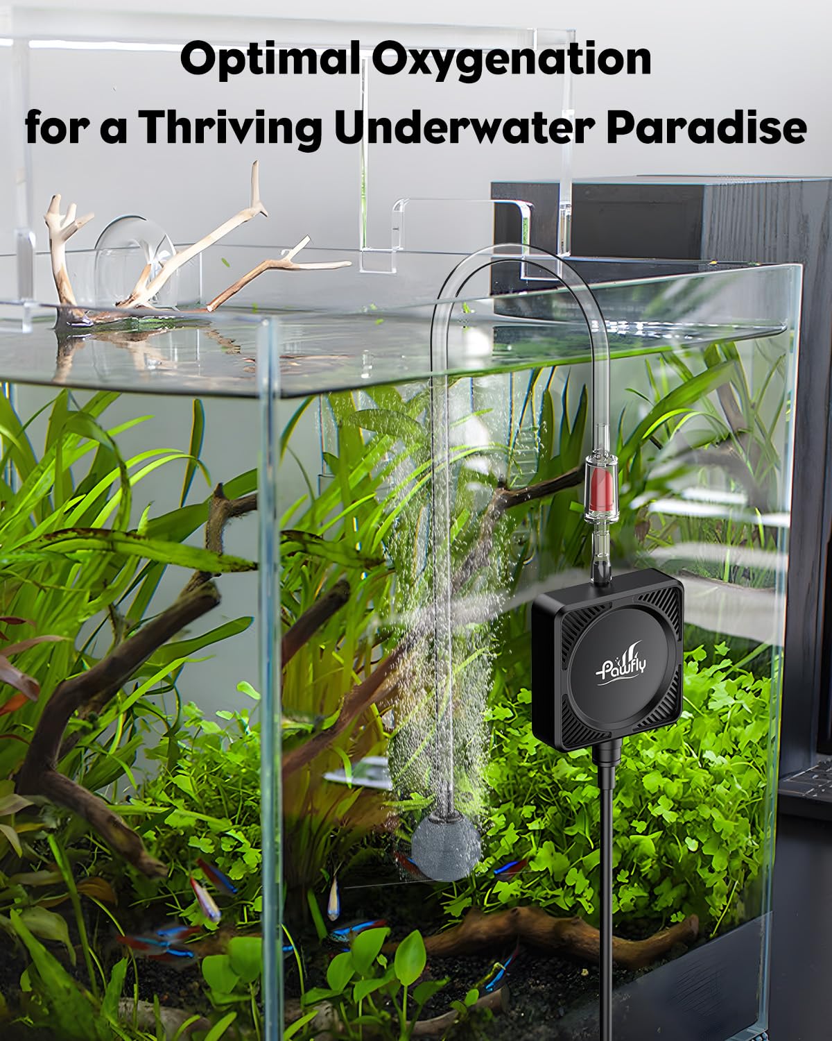 Pawfly Pompa Aria Acquario 450 mL/min 1.3 W, Ultra Silenziosa Mini Bollitore per Vasche fino a 60 L, Ossigenatore Portatile con Tubo, Pietra Porosa, Valvola di Non Ritorno