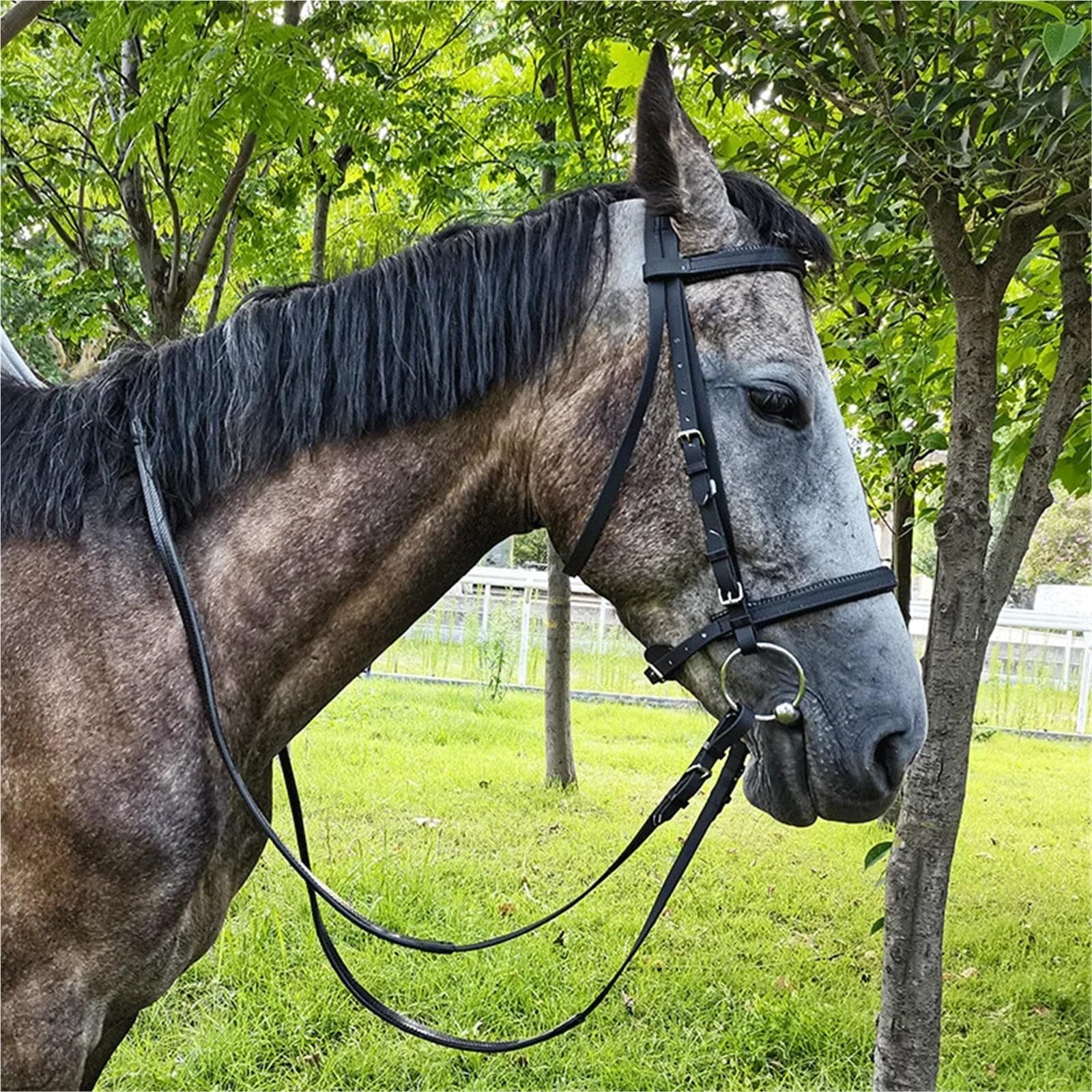 Equipo Ecuestre, Brida for Caballo, Cabestro, Collar de Cabeza de Caballo y riendas, Brida de Color Negro para Caballos(Black-S)