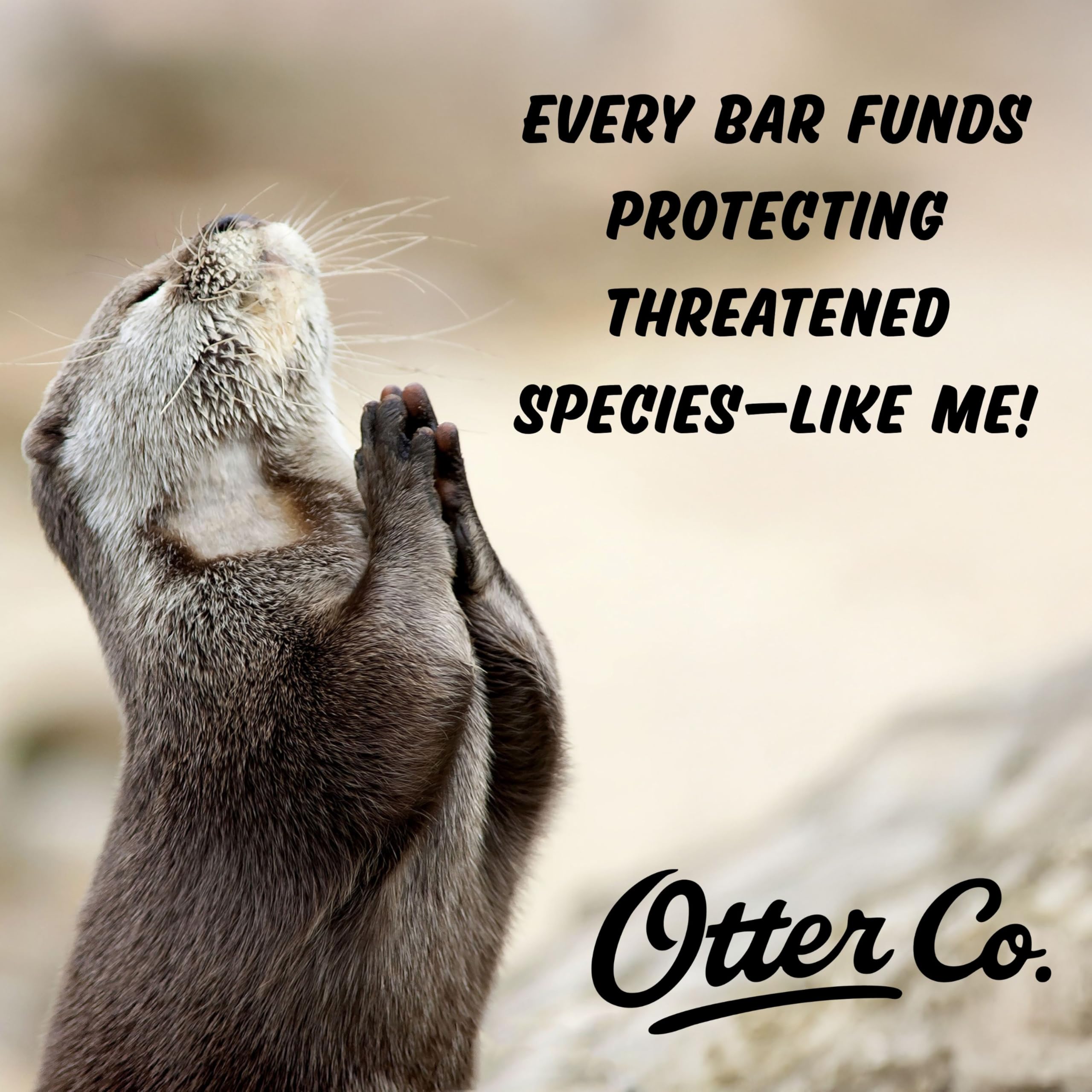 Otter Co. Champú de biotina y cebolla para el crecimiento del cabello con queratina, aceite de romero para el crecimiento del cabello, ACV, vegano, sin sulfatos y no tóxico, champú para pérdida de