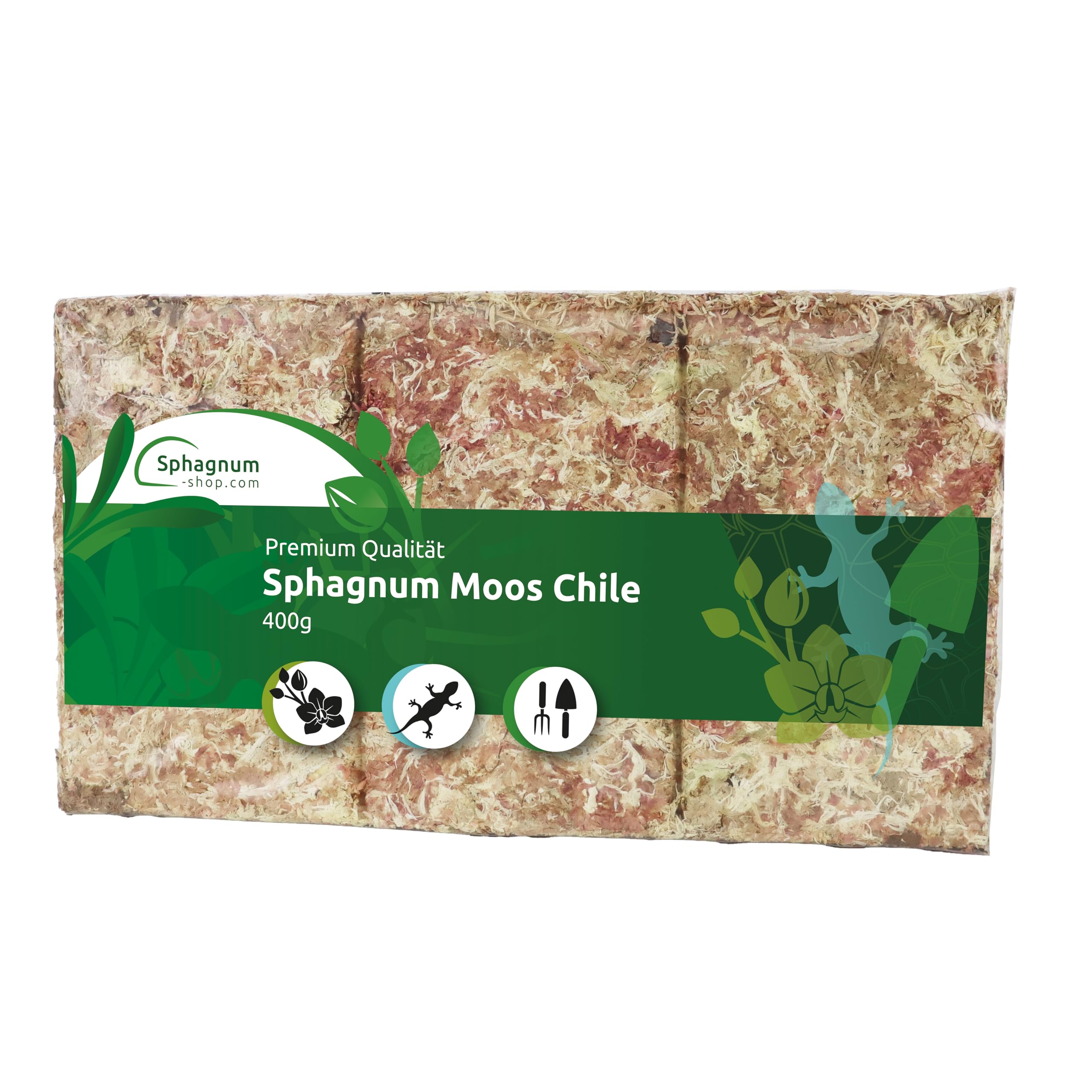 Sphagnum Moos Moosziegel aus Chile 400 g für Terrarium und Orchideen - Moos für Pflanzen & Terraristik - Ideal als Substrat & Moosstäbe