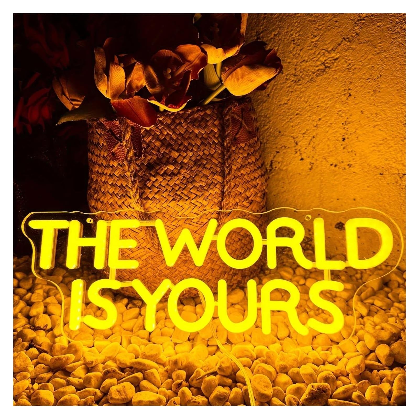 SHOUXI Sign Lamp The World is Yours Neon Sign, Light for Wall Decor, USB Power for Man Cave Home Bar Bistro Club Cafe Game Room 39cmх14cm(B)