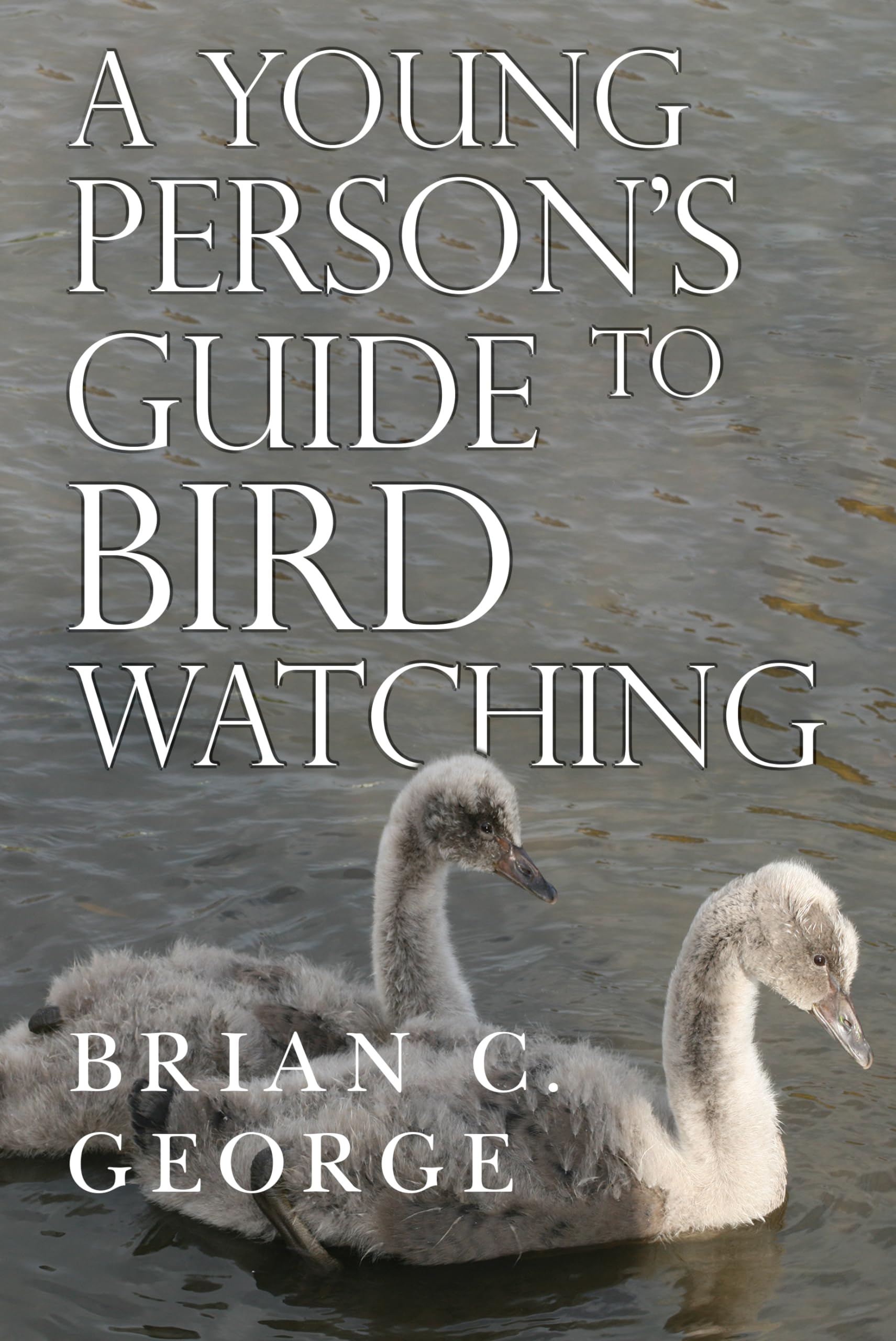 A Young Person's Guide to Bird Watching