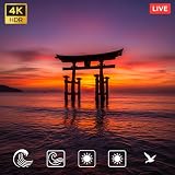 Immerse yourself in looping ambient visuals with calming soundscapes TV.