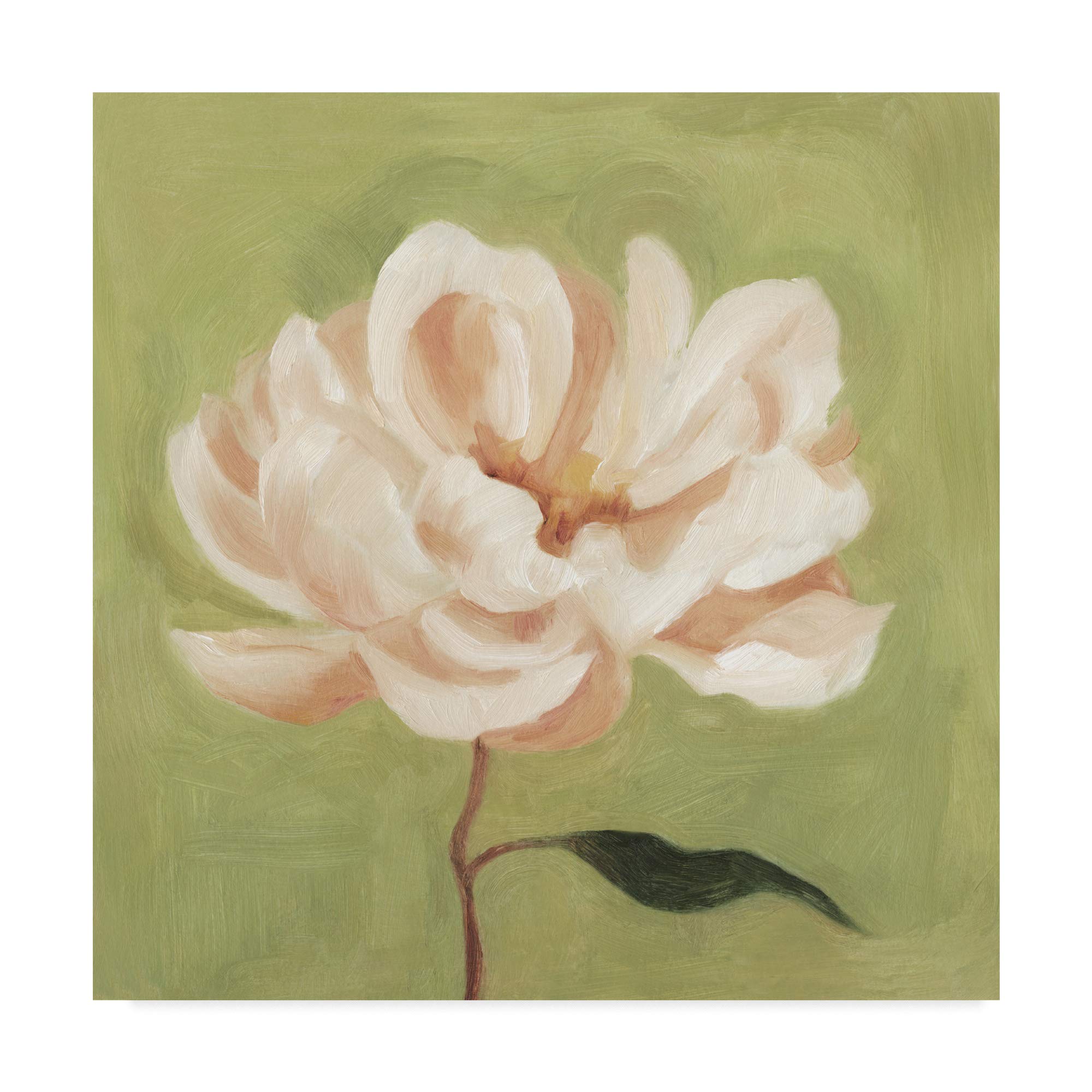 Trademark Fine Art, 24x24 Peony on Olive II by Emma Scarvey