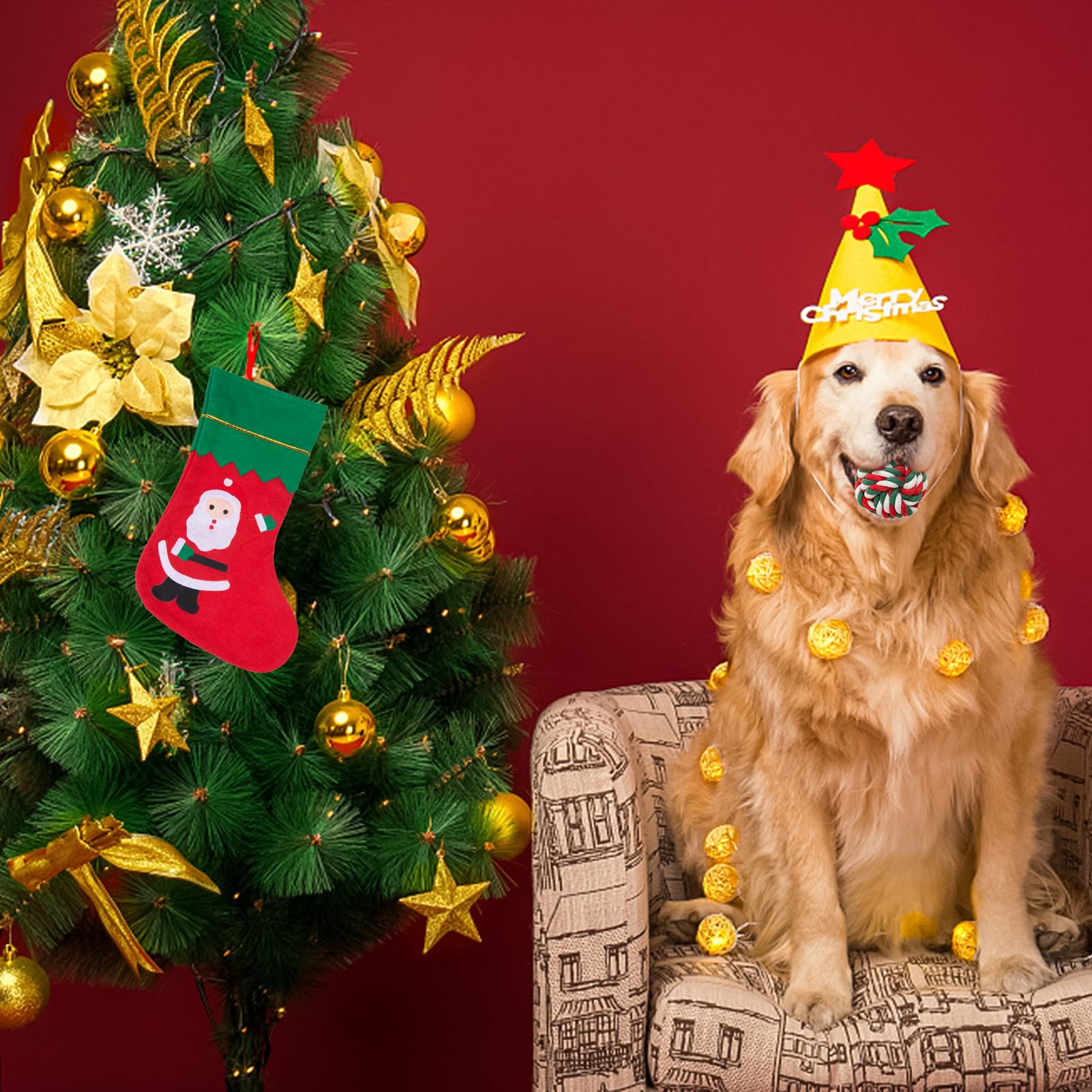 SCENEREAL Weihnachtliches Hundespielzeug aus Seil, 4 Stück, Kauspielzeug mit Strumpf zur Zahnreinigung, quietschendes Plüsch-Welpenspielzeug, interaktives Hundestrumpffüller, Weihnachtsgeschenke für