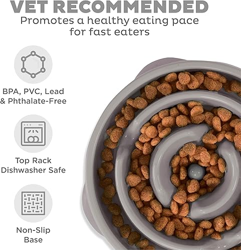 Miniatura 3 de Outward Hound Fun Feeder Slo Bowl Cuenco para perro de alimentación lenta, tamaño granderegular, color gris