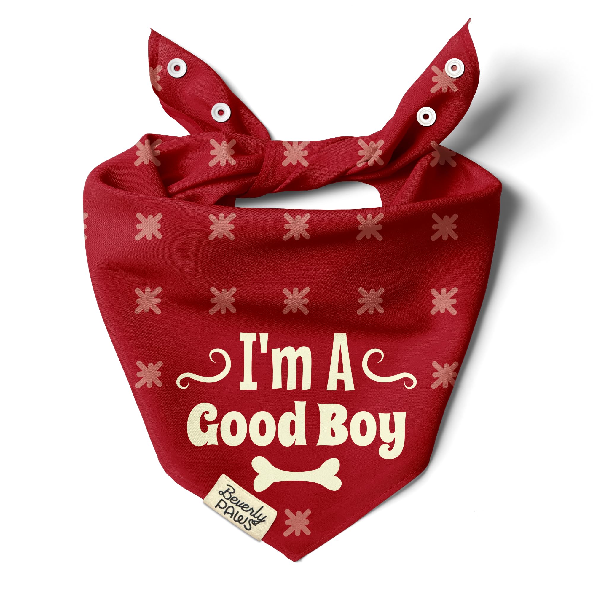 Bandana para perro original con mensaje gracioso para regalar en cumpleaños