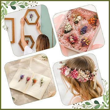 Small Dried Flower Bouquet Pack of 10 Dried Flowers Craft Set