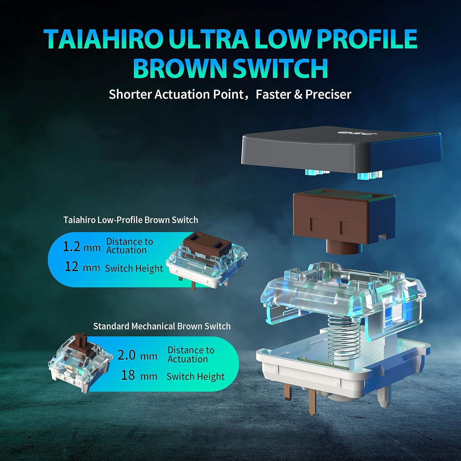 Diagram of Taiahiro Low-Profile Brown Switch