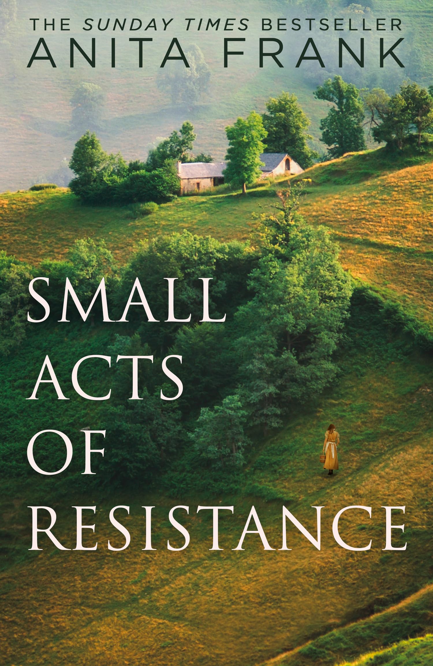 Small Acts of Resistance: A brand-new captivating First World War historical fiction novel of love and sacrifice by the Sunday Times bestselling author, perfect for fans of Sebastian Faulks in 2026!