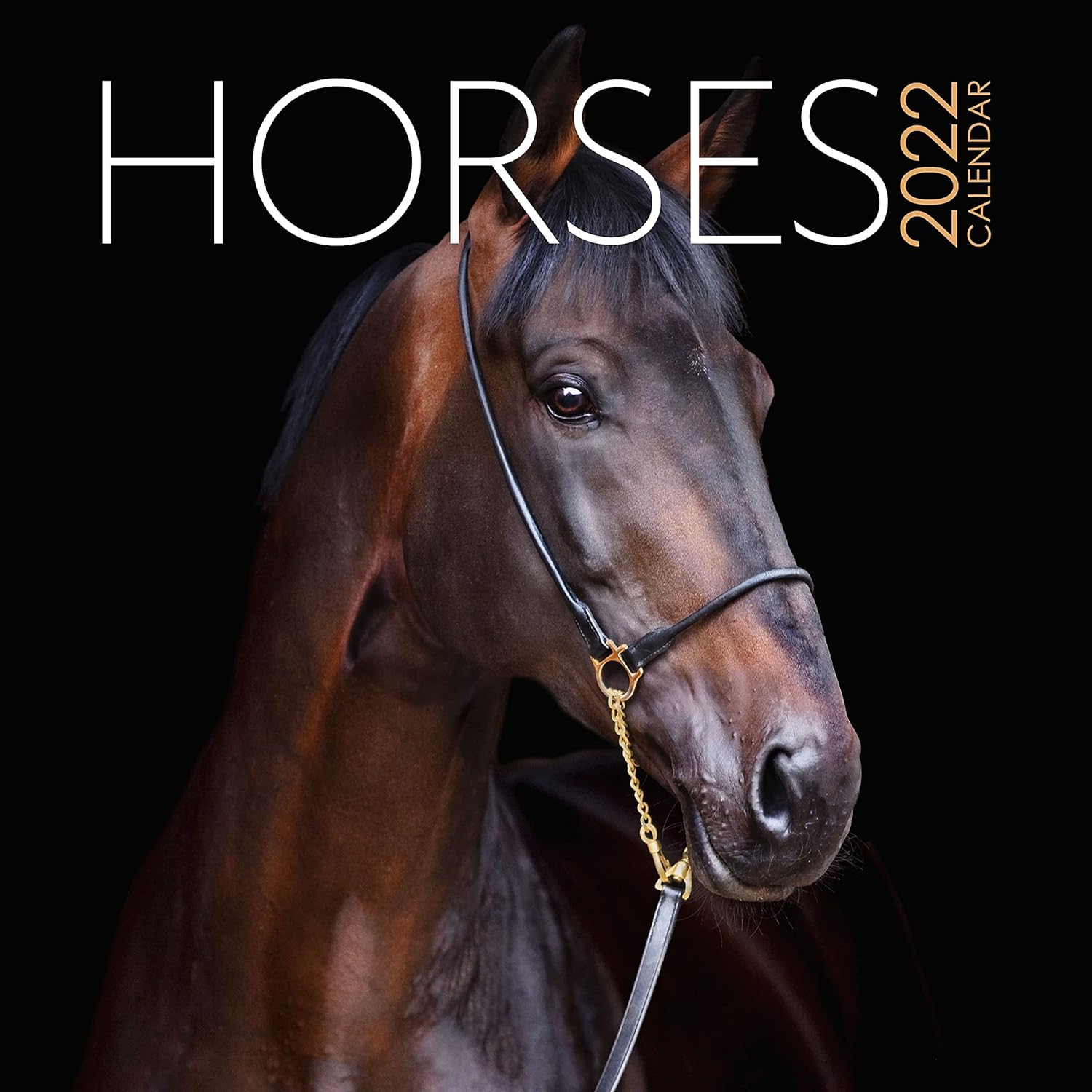 2023 Horse Square Hanging Wall Calendar No plastic. 12" x 12" Planner