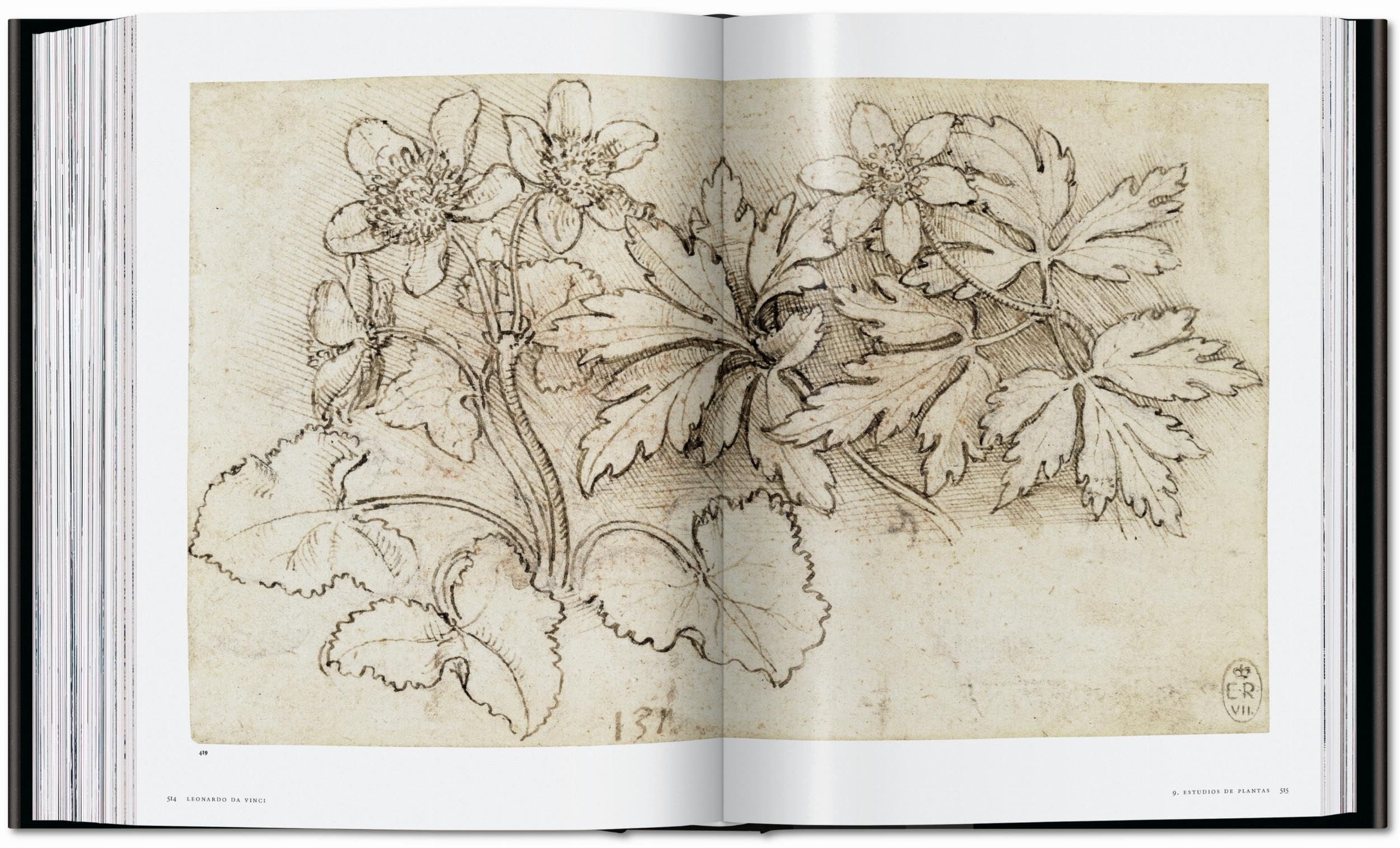Leonardo: Obra pictórica completa y obra gráfica