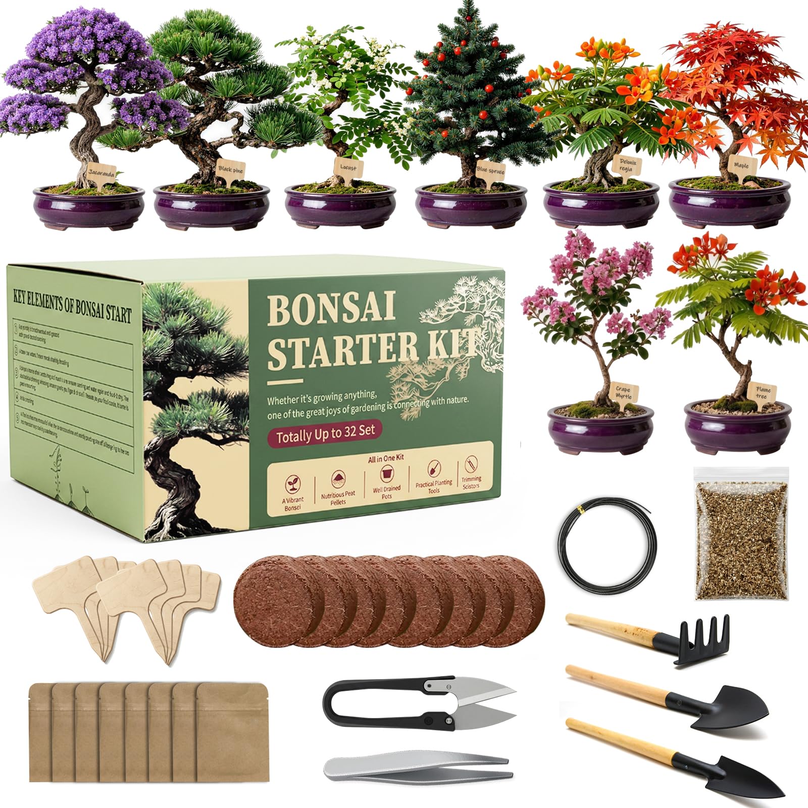 Adawook Bonsai Kit