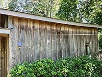 Review Image by Mrs. Mrs.