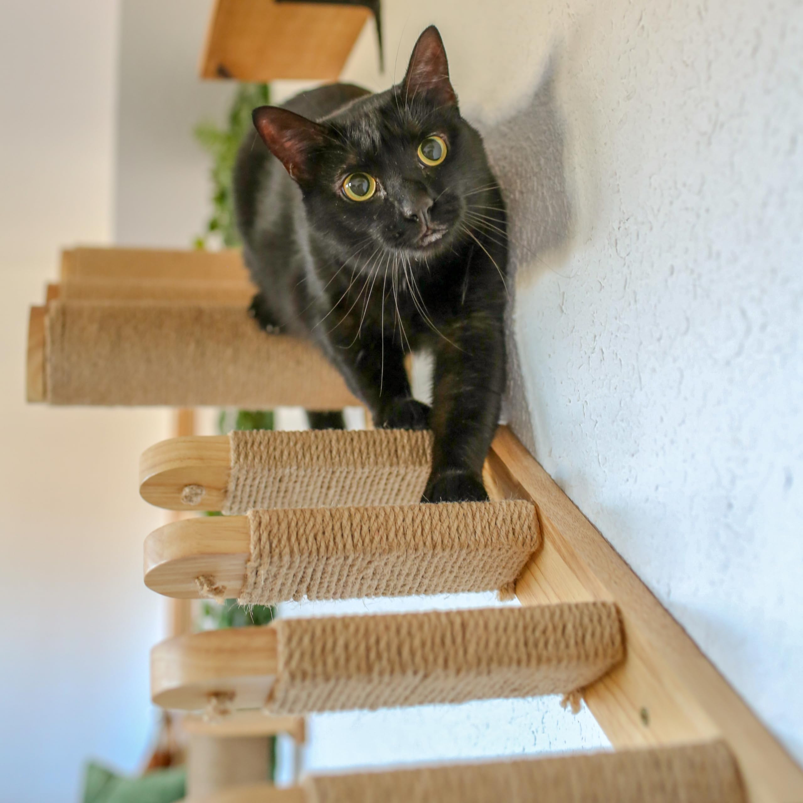 Mensole Gatto da Parete - Scala per Gatti Reversibile - Mensole per Gatti - Naciti Gioco Tiragraffi (Stairs)