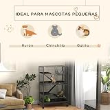 Ver la foto 3