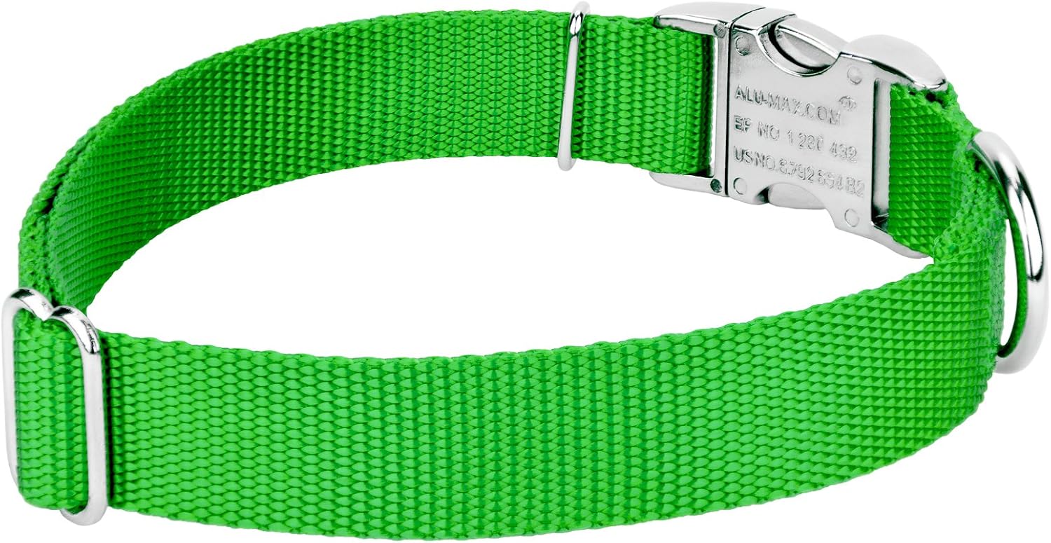 Country Brook Petz - Premium Nylon Dog Collar and Leash - 10+ Cool Colors (Large, 1 Inch, Hot Lime Green)