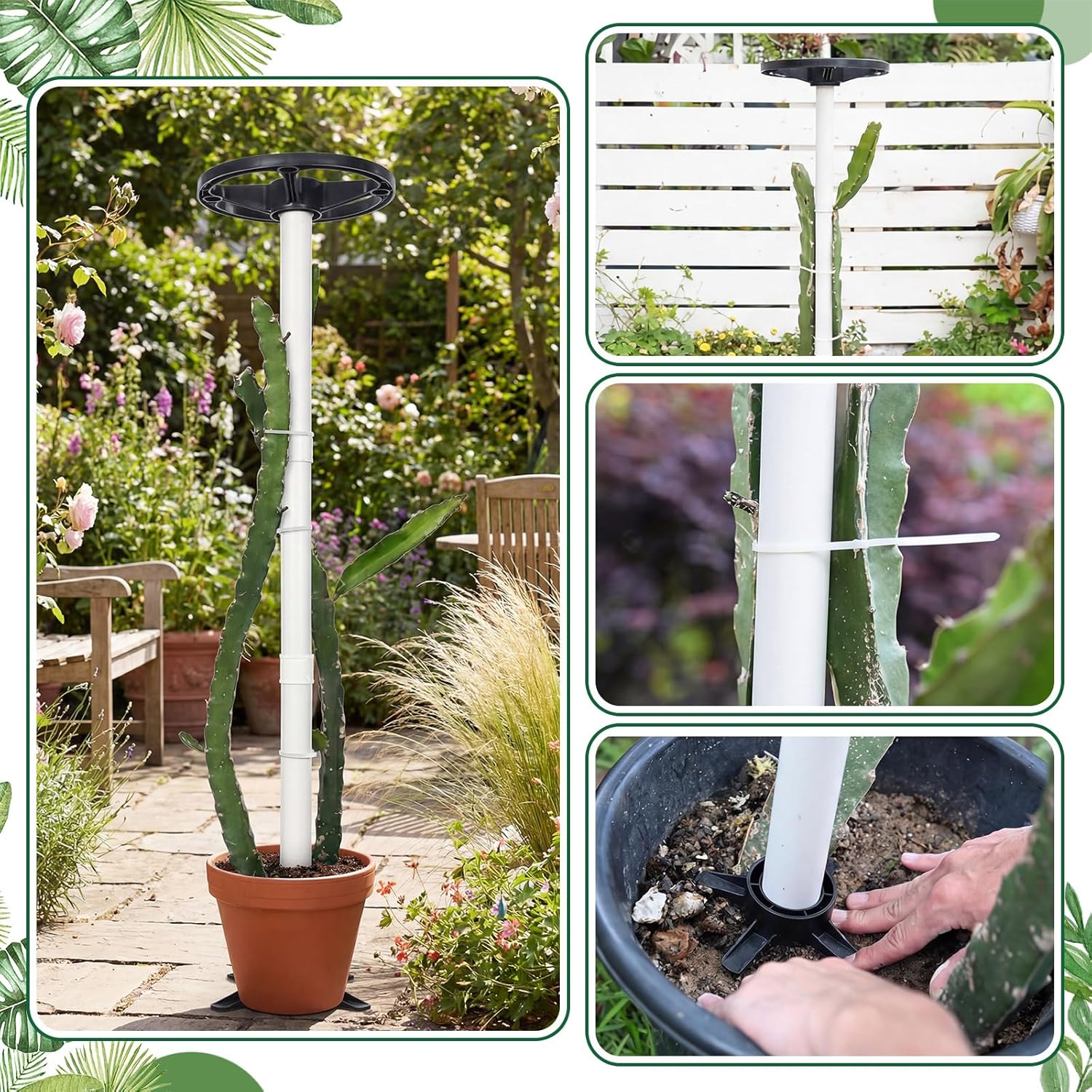 BreezeHug 2 Pcs Dragon Fruit Trellis 12 x 50 Inch Plant Cage Cactus Climbing Suppor Durable and Weatherproof, Requires Assembly