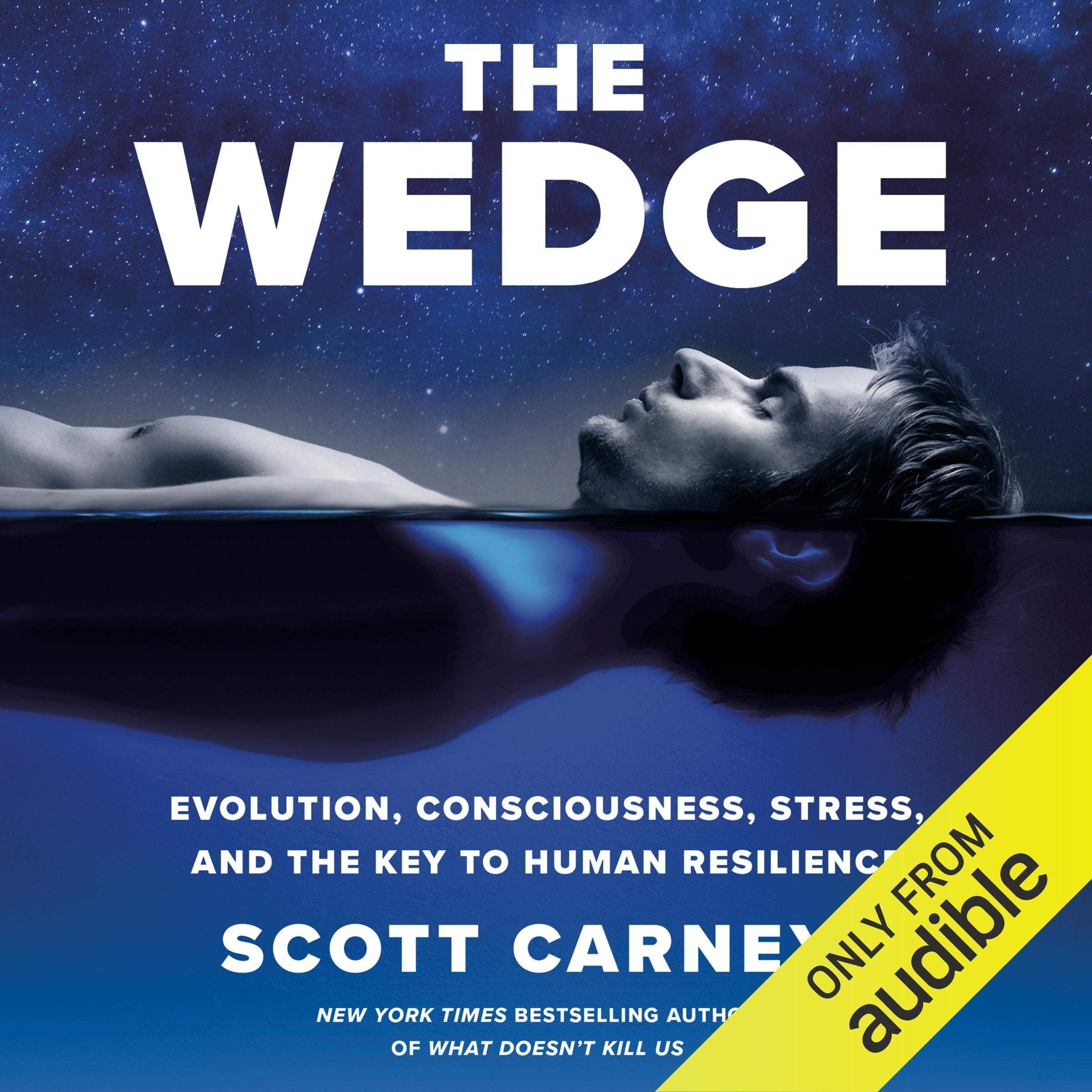 The Wedge: Evolution, Consciousness, Stress, and the Key to Human Resilience