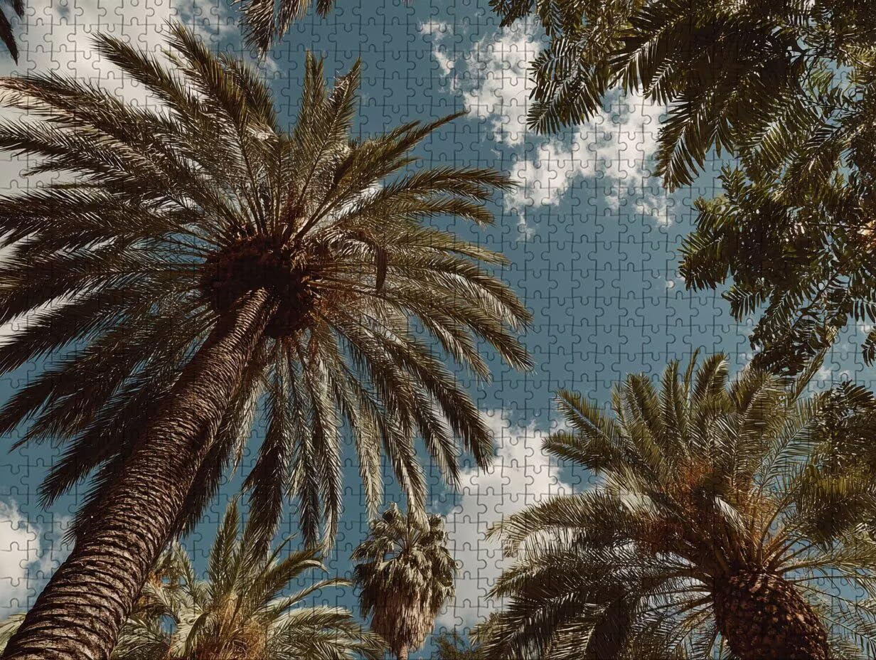 áRbol Puzzle de 2000 Piezas para Adultos, Puzzle Madera con Caja 99x70cm, Rompecabezas Adultos de Alta Dificultad, DIY Juego de Rompecabezas, Pasatiempo Creativo, Decoración de Verano, (Cielo) F-3154