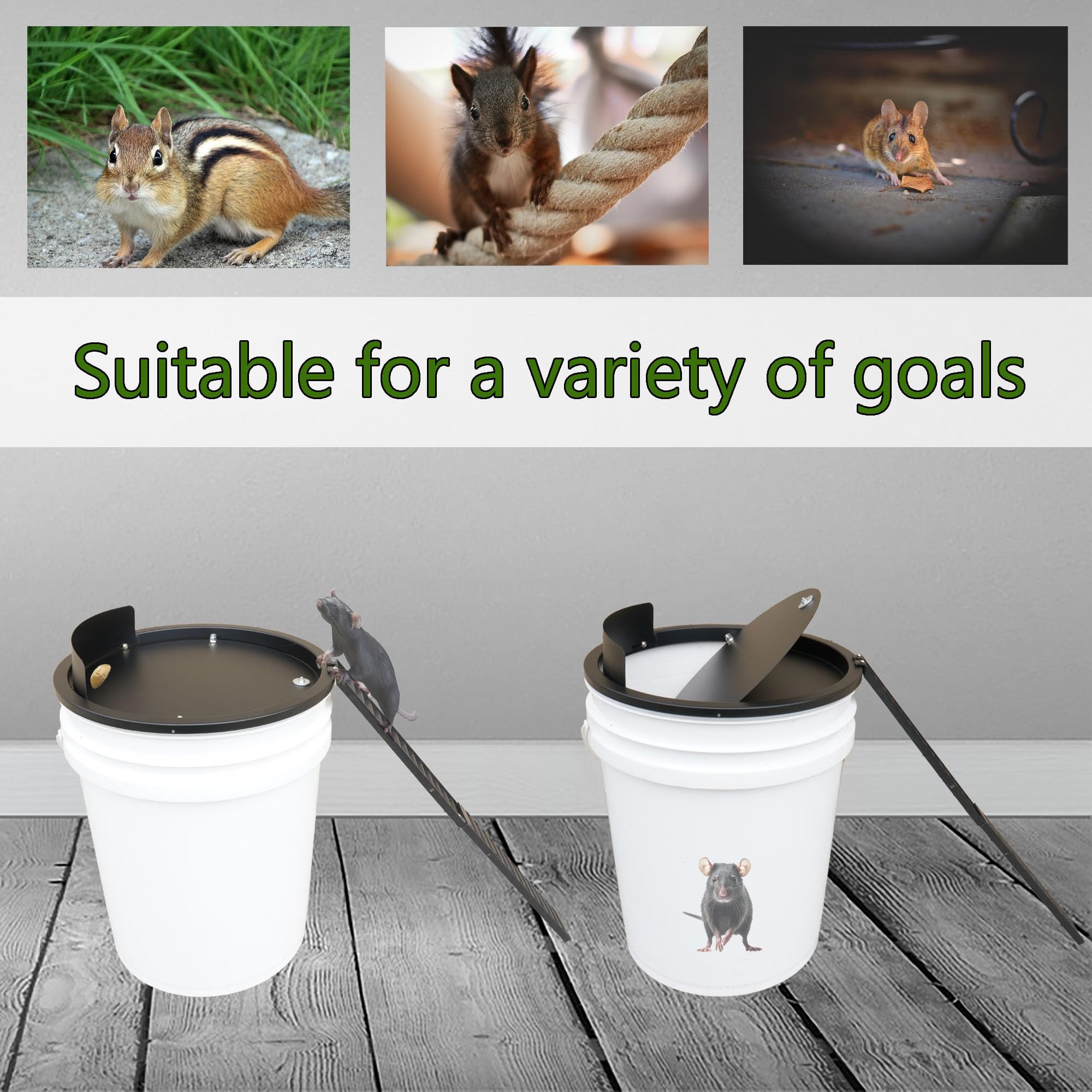 Rat Trap Tomcat Rat Snap Trap 2-Pack - Heavy Duty Mouse Trap With ...