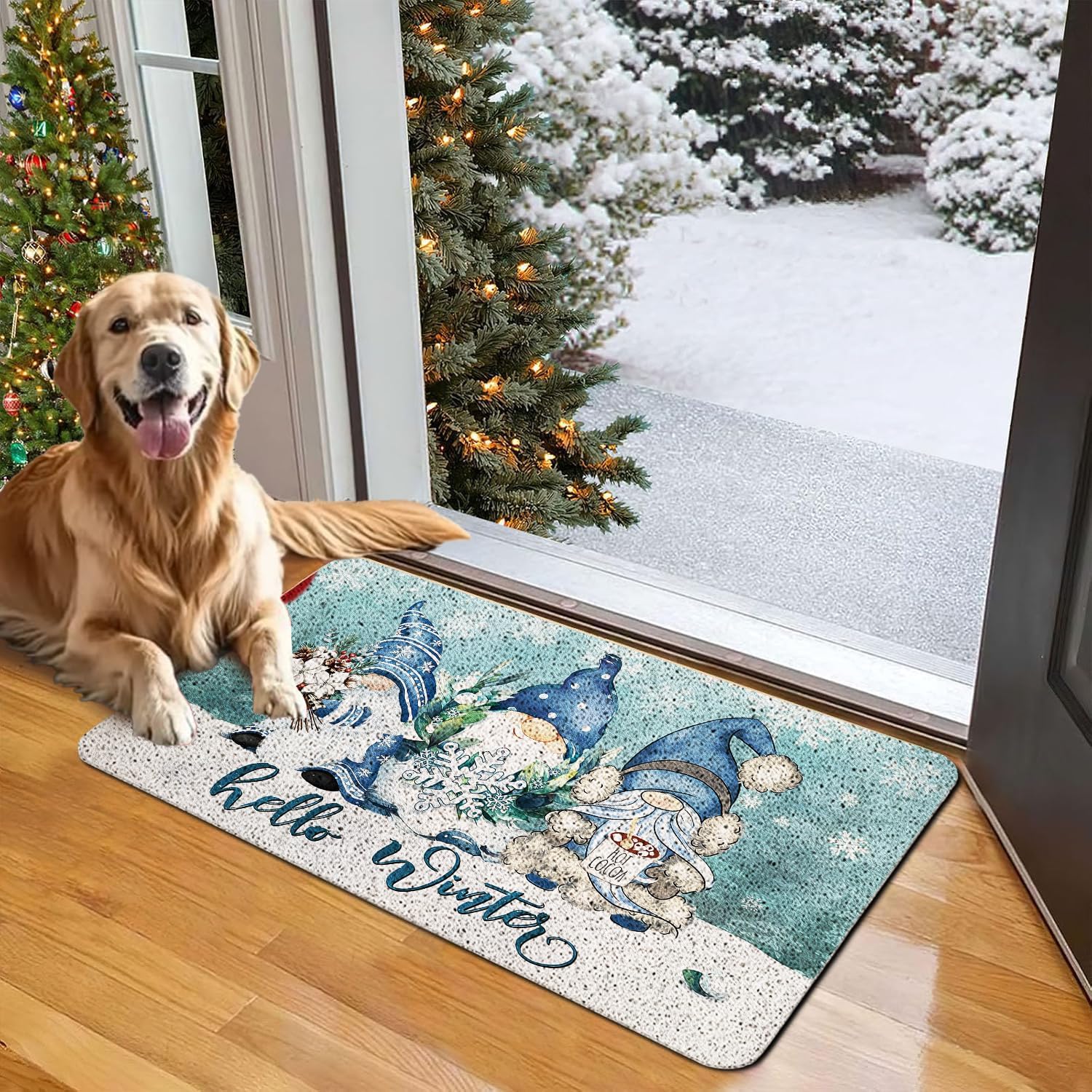 Hello Winter Christmas Gnome Door Mat, Winter Gnome Doormat for Front Door Indoor Outdoor Entrance Porch, Blue Christmas Welcome Mat Outside, Xmas Holiday Bath Mats, 17x30 Inches