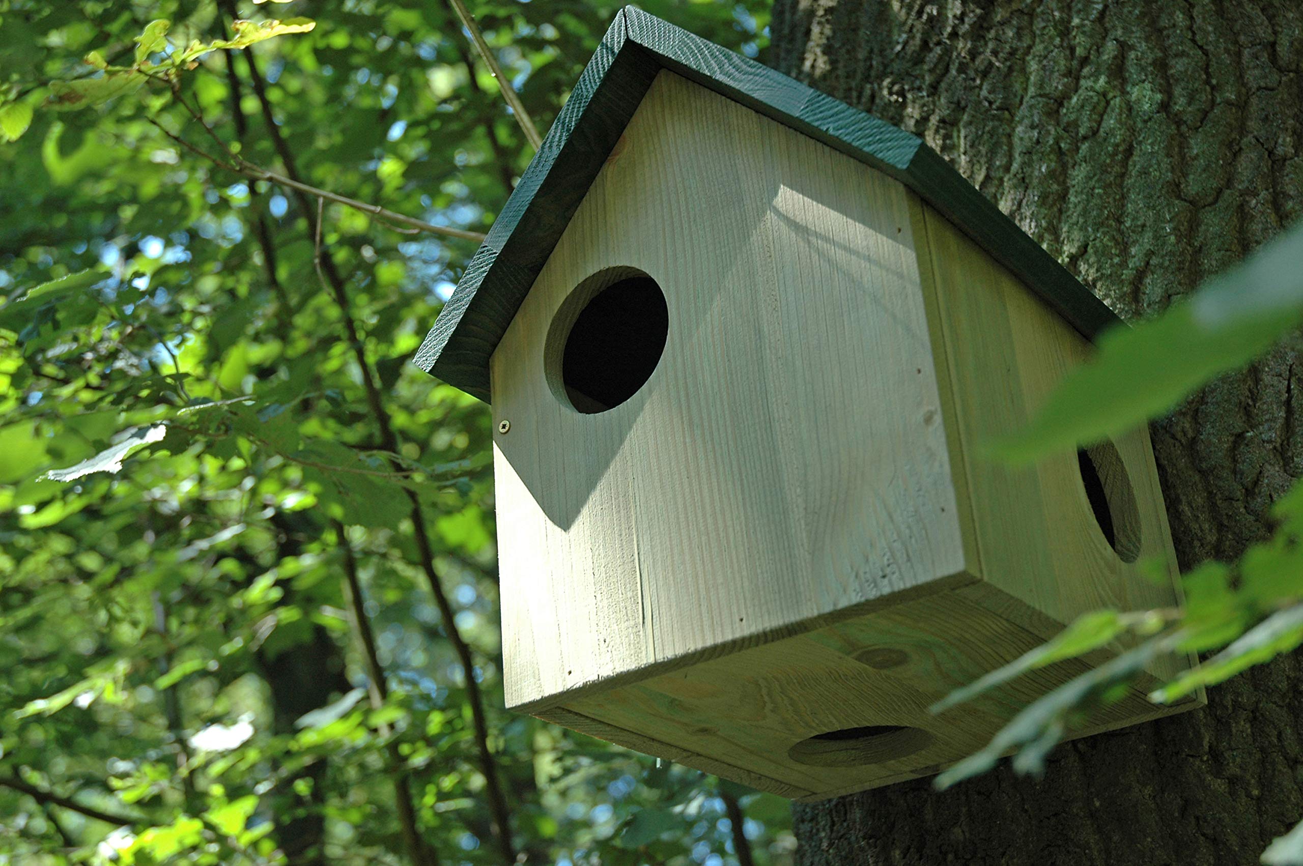dobar® 22221 Eichhörnchenkobel - Eichhörnchenhaus aus Massivholz - Futterhaus für Eichhörnchen - Eichhhörnchen Schlafhaus mit 3 Eingängen - 25 x 26 x 28,5 cm - Grün