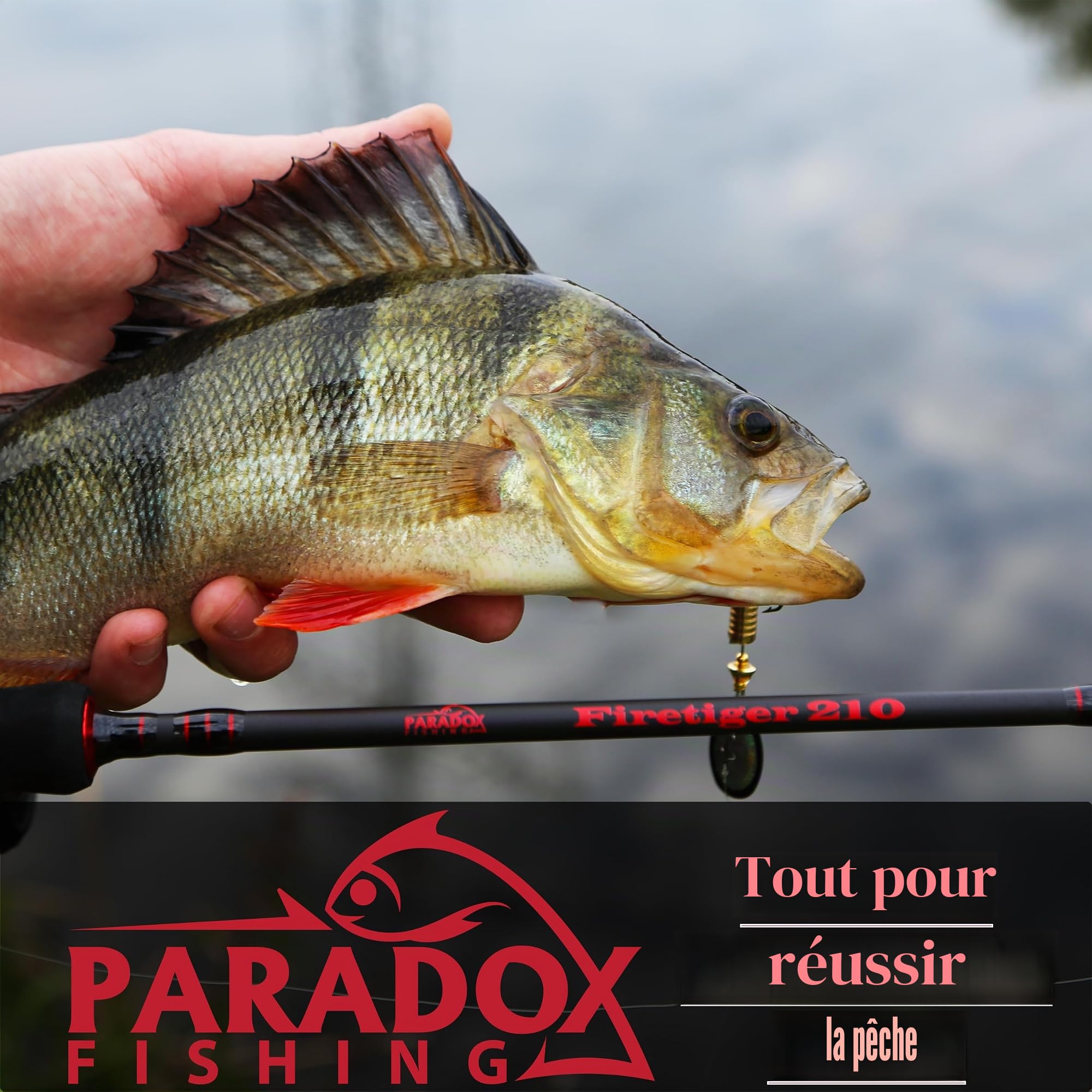 Paradox Fishing Épuisette caoutchoutée 1,6 m/2,1 m I Épuisette télescopique caoutchoutée I Épuisette de pêche caoutchoutée – Épuisette de pêche