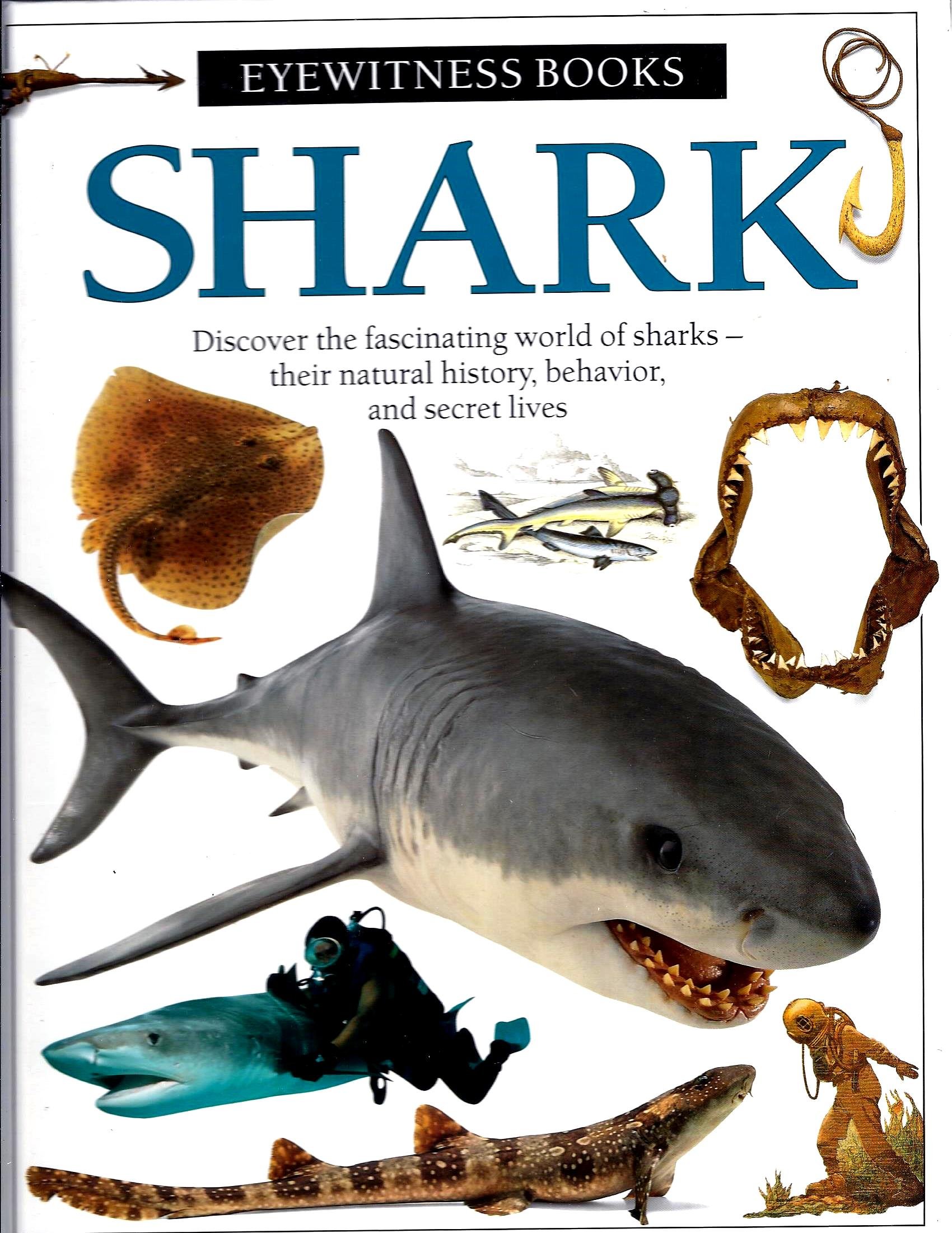 Shark (DK Eyewitness Books)