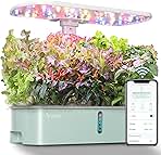 LetPot LPH-Air Hydroponics Growing System Kits, APP & WiFi Controlled Smart Indoor Garden with 24W Grow Light Full Spectrum, 10 Pods Planter Indoor Gardening for Gifts, Kitchen, Vegetable (Green)