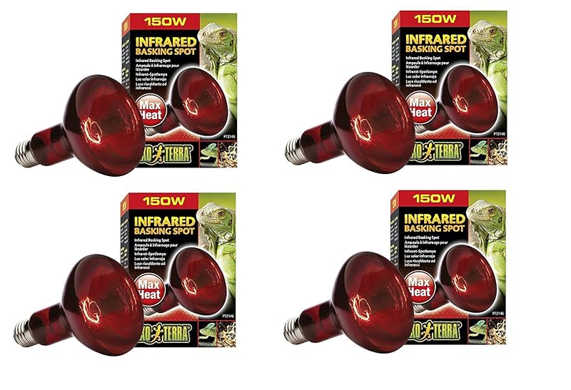 Lâmpada de Aquecimento Infravermelha Spot para Terrário Exo Terra 150 W 120 V, Pacote com 4