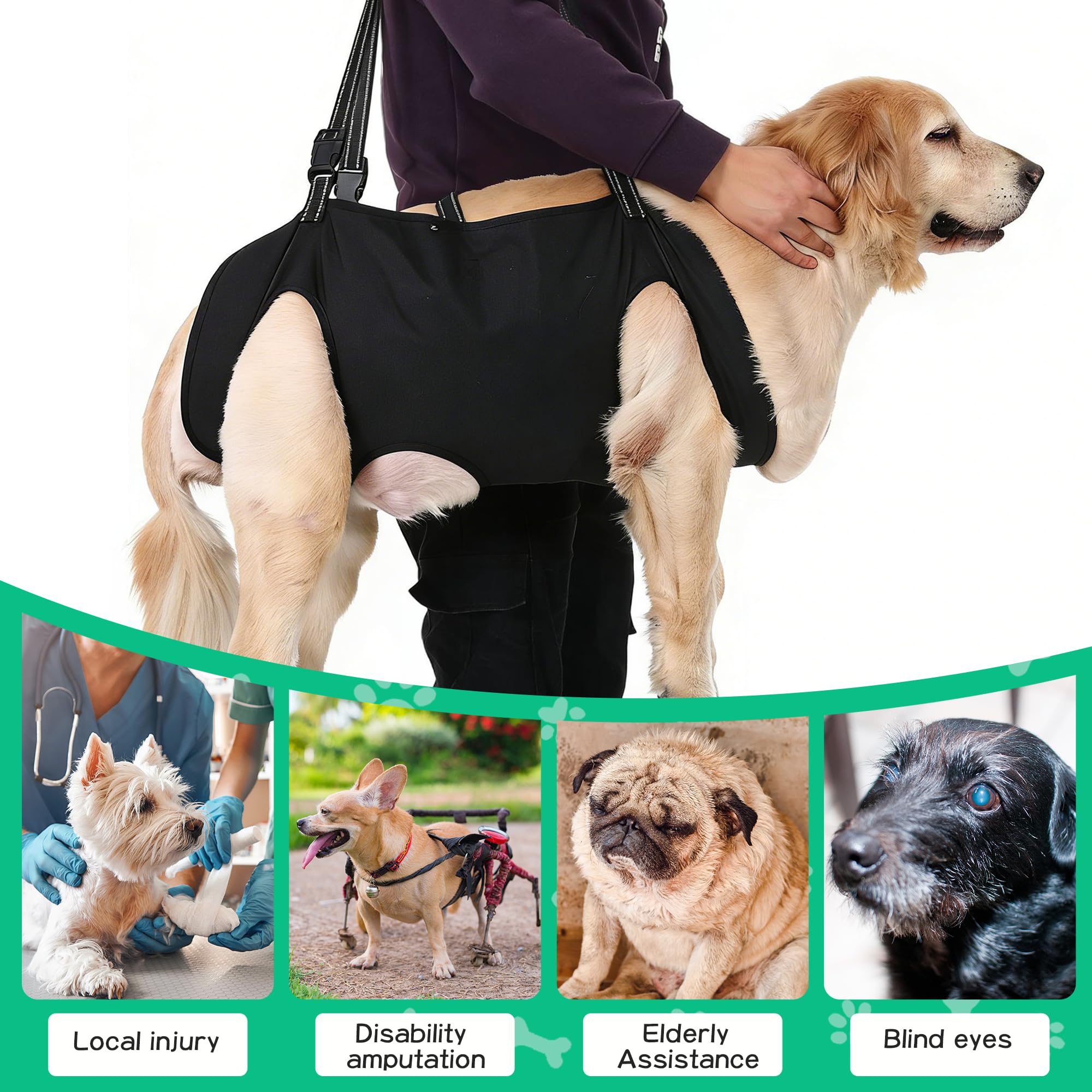 Tragehilfe Hund Groß, Hunde Tragehilfe, Hundeliftgeschirr, Hundehebegeschirr,Haustierunterstützung Hund Lift Support für Hunde,für Unterstützung und Rehabilitation,für Behinderte Verletzte Oder Alt (M